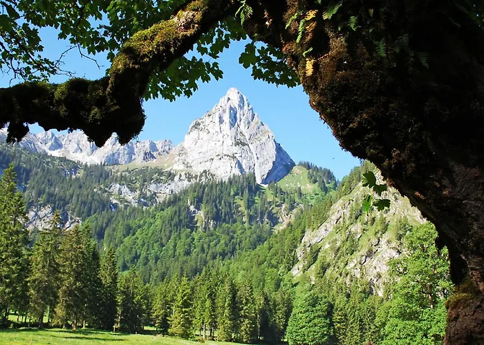 Mair - Bergblick * Halblech